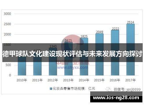 德甲球队文化建设现状评估与未来发展方向探讨