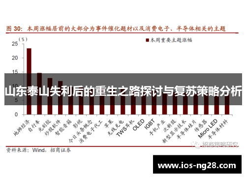 山东泰山失利后的重生之路探讨与复苏策略分析
