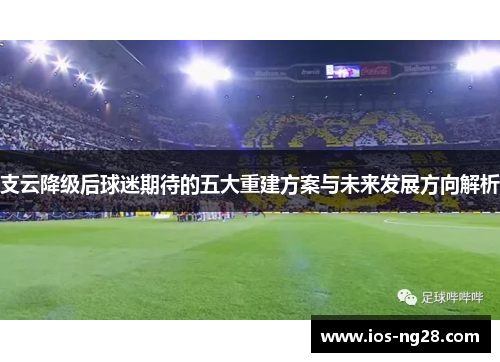 支云降级后球迷期待的五大重建方案与未来发展方向解析