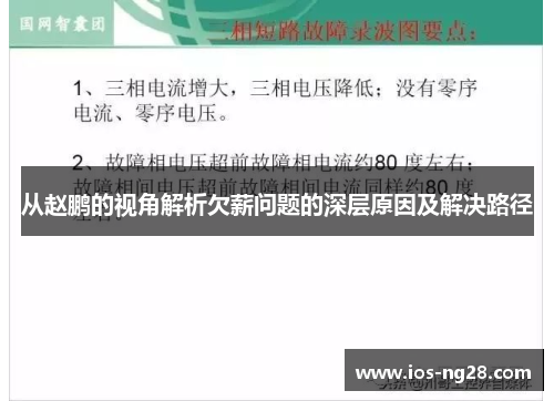 从赵鹏的视角解析欠薪问题的深层原因及解决路径