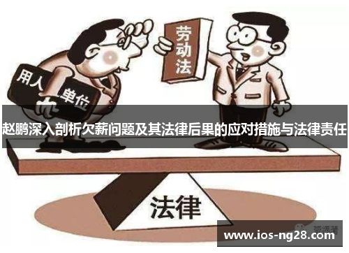 赵鹏深入剖析欠薪问题及其法律后果的应对措施与法律责任