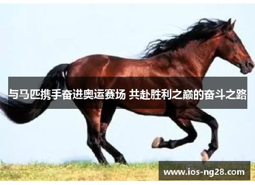 与马匹携手奋进奥运赛场 共赴胜利之巅的奋斗之路