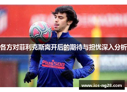 各方对菲利克斯离开后的期待与担忧深入分析