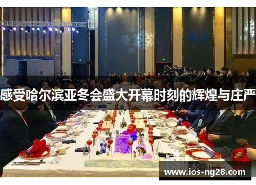 感受哈尔滨亚冬会盛大开幕时刻的辉煌与庄严