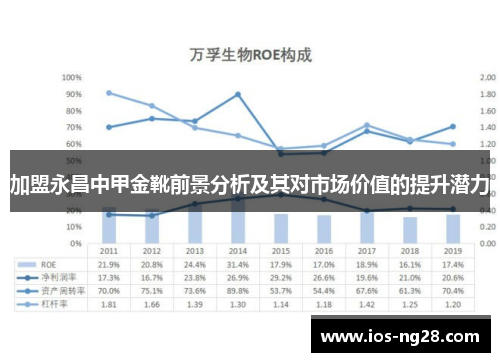加盟永昌中甲金靴前景分析及其对市场价值的提升潜力