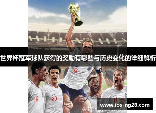 世界杯冠军球队获得的奖励有哪些与历史变化的详细解析