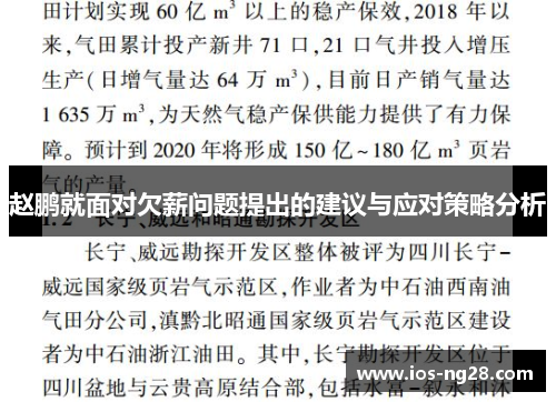 赵鹏就面对欠薪问题提出的建议与应对策略分析