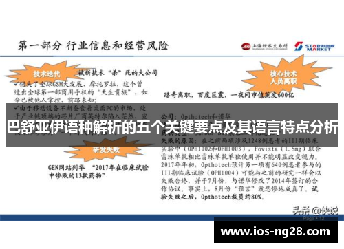 巴舒亚伊语种解析的五个关键要点及其语言特点分析